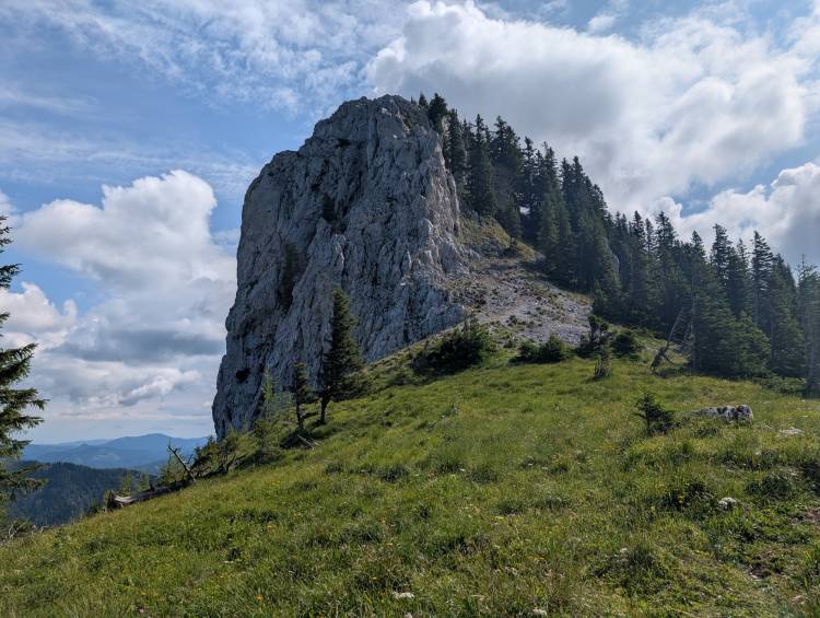 pxl_20250712_080618097.jpg pxl_20250712_080618097.jpg