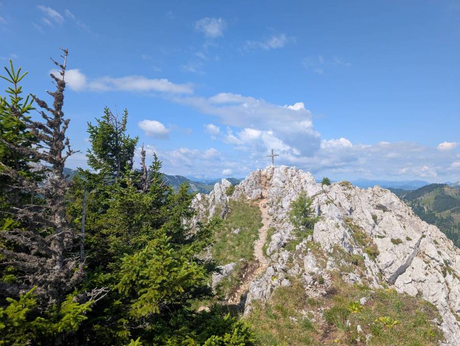 pxl_20250712_081714263.jpg pxl_20250712_081714263.jpg