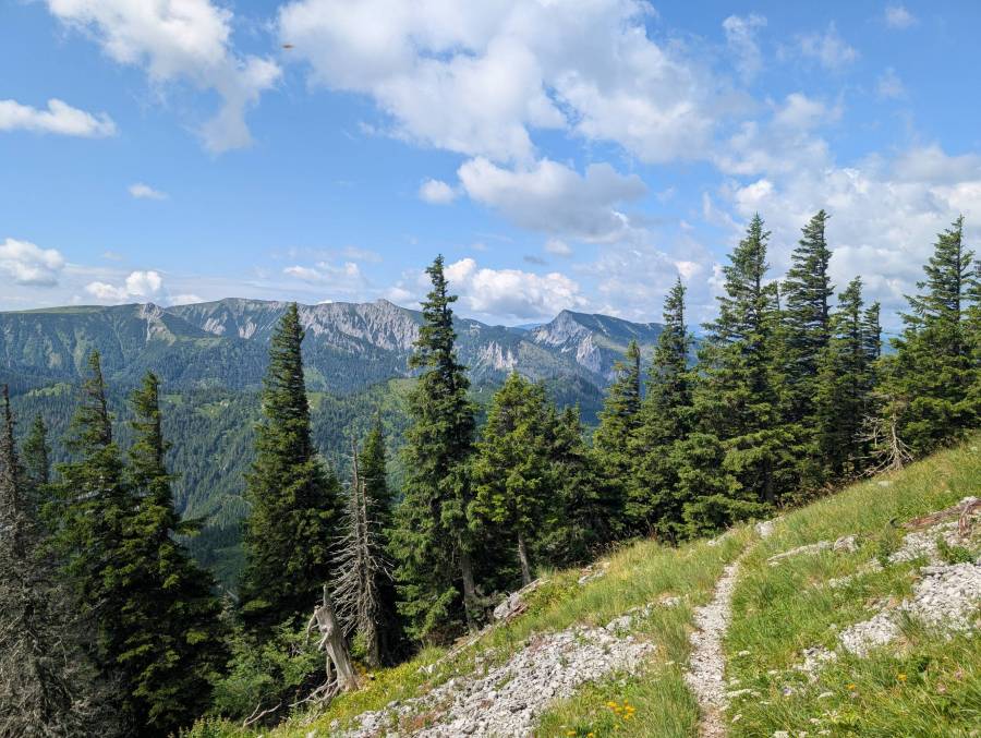 pxl_20250712_084057112.jpg pxl_20250712_084057112.jpg