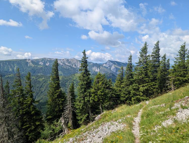 pxl_20250712_084057112.jpg pxl_20250712_084057112.jpg