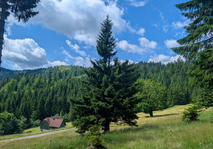 pxl_20250712_092123218.jpg pxl_20250712_092123218.jpg