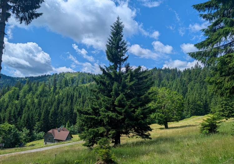 pxl_20250712_092123218.jpg pxl_20250712_092123218.jpg