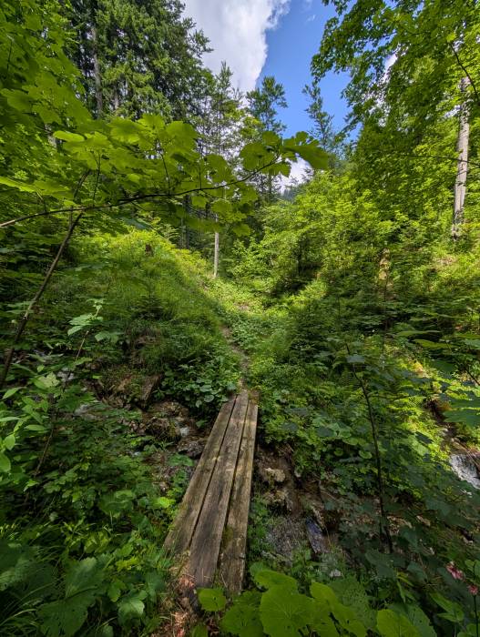 pxl_20250712_094052374.jpg pxl_20250712_094052374.jpg