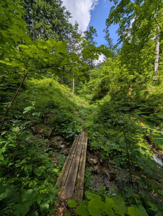 pxl_20250712_094052374.jpg pxl_20250712_094052374.jpg