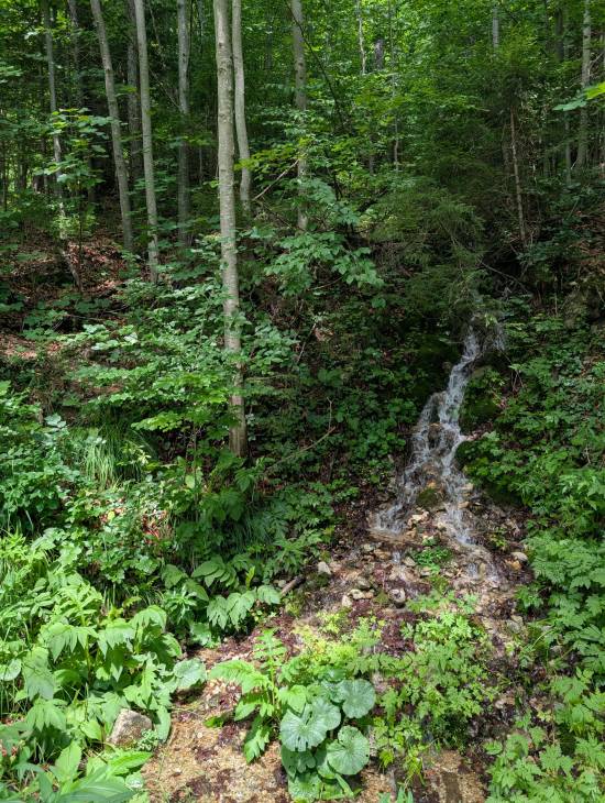 pxl_20250712_102019735.jpg pxl_20250712_102019735.jpg