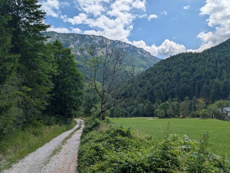 pxl_20250712_103231868.jpg pxl_20250712_103231868.jpg