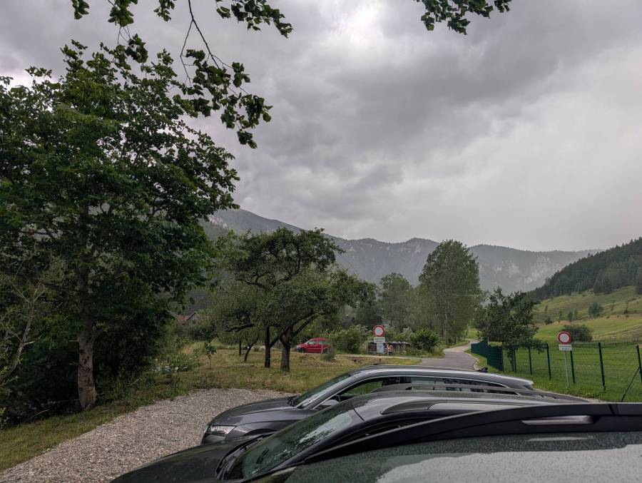 pxl_20250712_104337131.jpg pxl_20250712_104337131.jpg