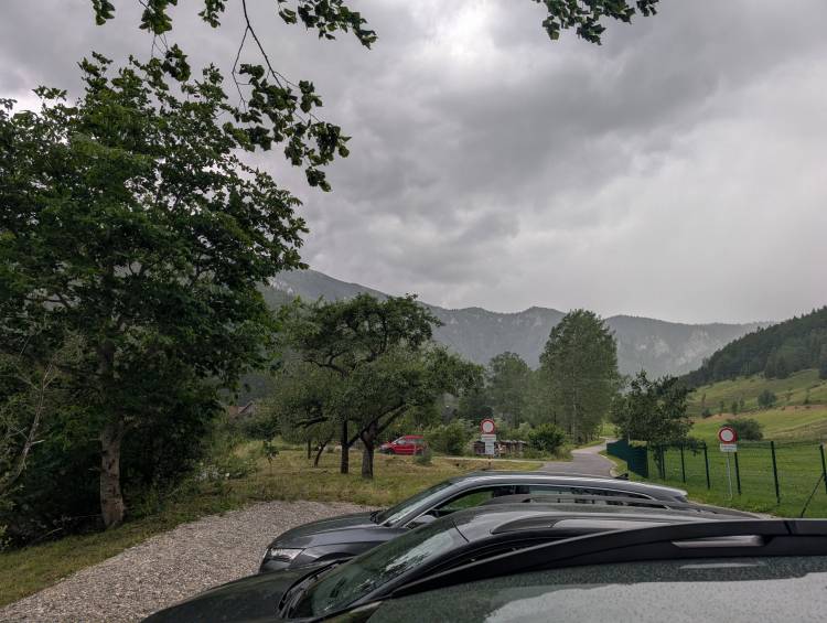 pxl_20250712_104337131.jpg pxl_20250712_104337131.jpg