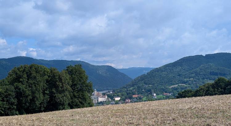 pxl_20250803_091128981.jpg pxl_20250803_091128981.jpg