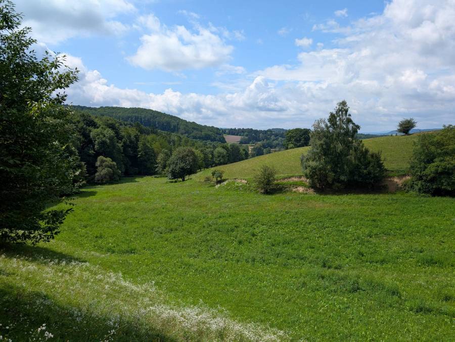 pxl_20250803_102651262.jpg pxl_20250803_102651262.jpg