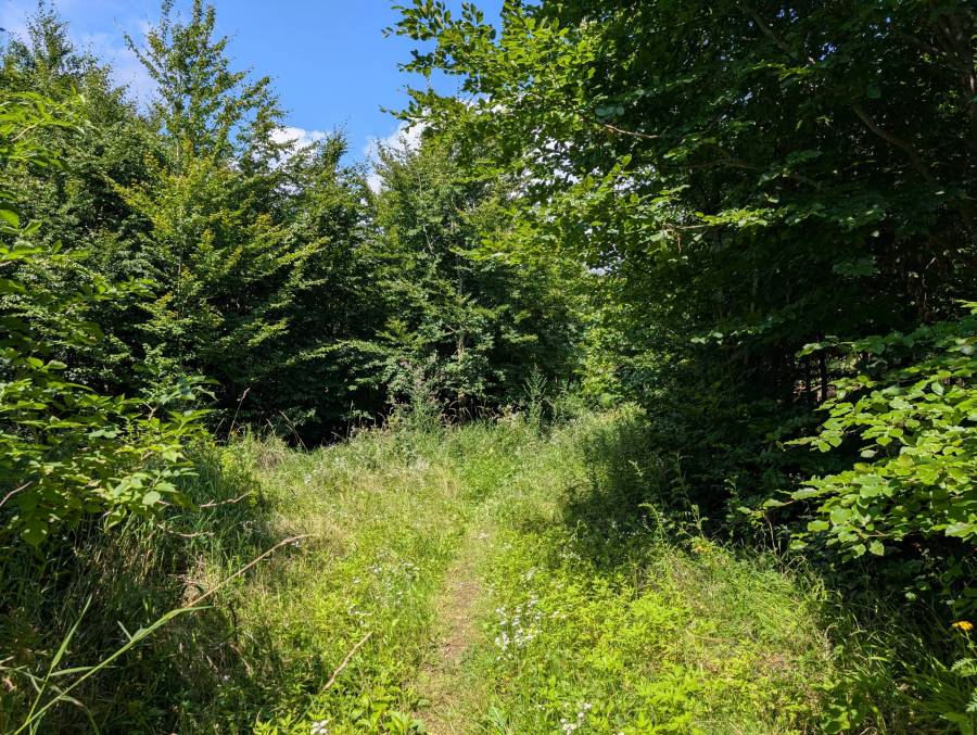 pxl_20250803_120353614.mp.jpg pxl_20250803_120353614.mp.jpg