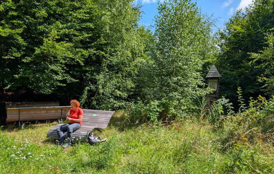 pxl_20250803_121438047.mp.jpg pxl_20250803_121438047.mp.jpg