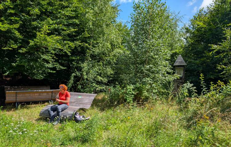 pxl_20250803_121438047.mp.jpg pxl_20250803_121438047.mp.jpg