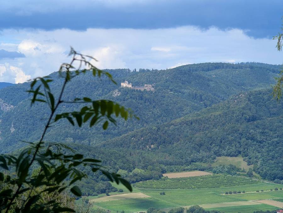 pxl_20250803_122912145.jpg pxl_20250803_122912145.jpg