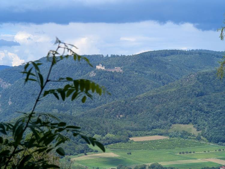 pxl_20250803_122912145.jpg pxl_20250803_122912145.jpg