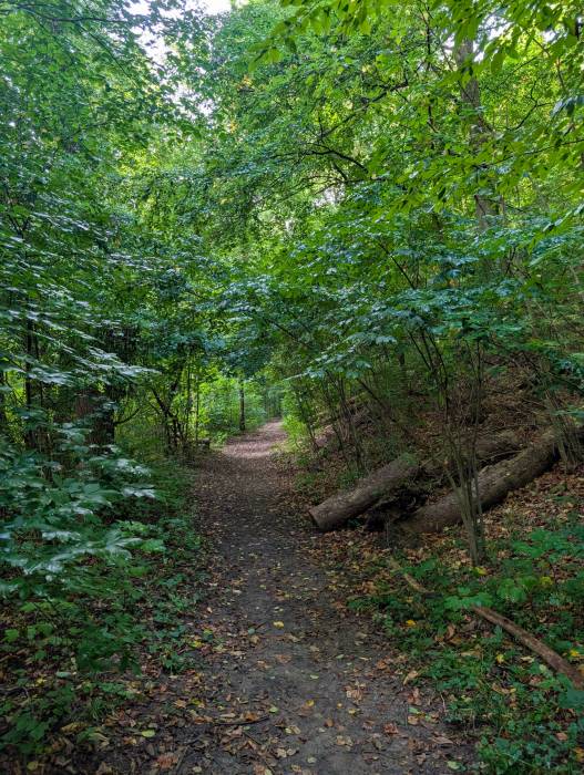 pxl_20250830_060108374.jpg pxl_20250830_060108374.jpg