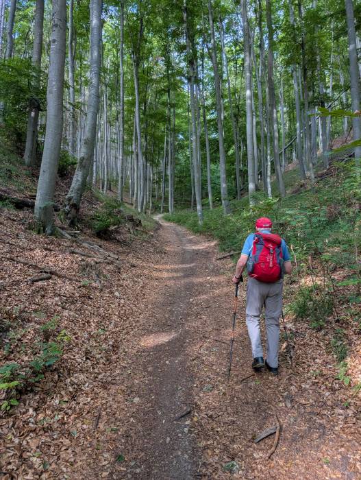 pxl_20250830_064919626.jpg pxl_20250830_064919626.jpg