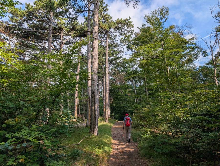 pxl_20250830_071312698.jpg pxl_20250830_071312698.jpg