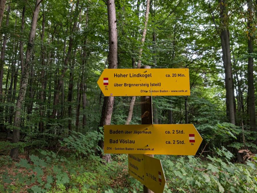 pxl_20250830_072624907.mp.jpg pxl_20250830_072624907.mp.jpg