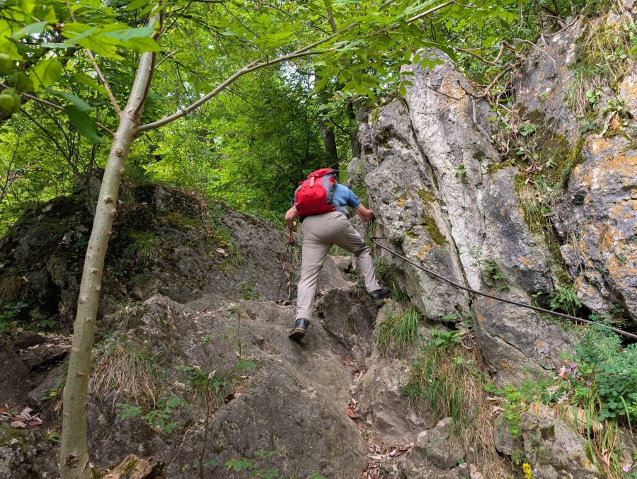 pxl_20250830_073413617.jpg pxl_20250830_073413617.jpg