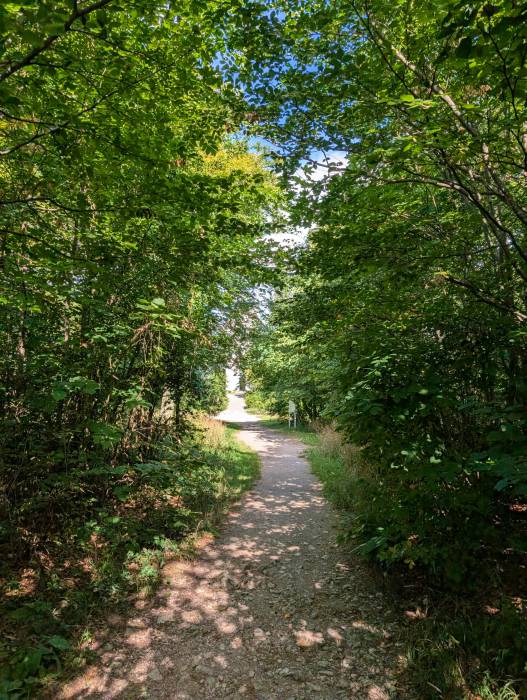 pxl_20250830_074926357.jpg pxl_20250830_074926357.jpg