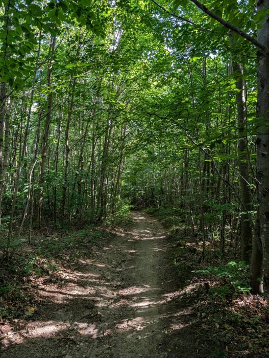 pxl_20250830_090400768.jpg pxl_20250830_090400768.jpg