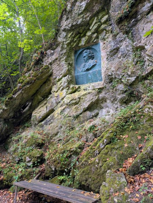 pxl_20250830_095221701.jpg pxl_20250830_095221701.jpg