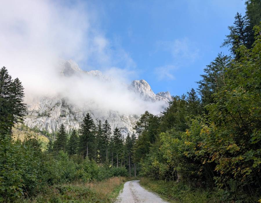 pxl_20250908_072809802.jpg pxl_20250908_072809802.jpg