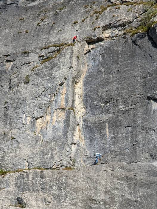 pxl_20250908_075132654.jpg pxl_20250908_075132654.jpg