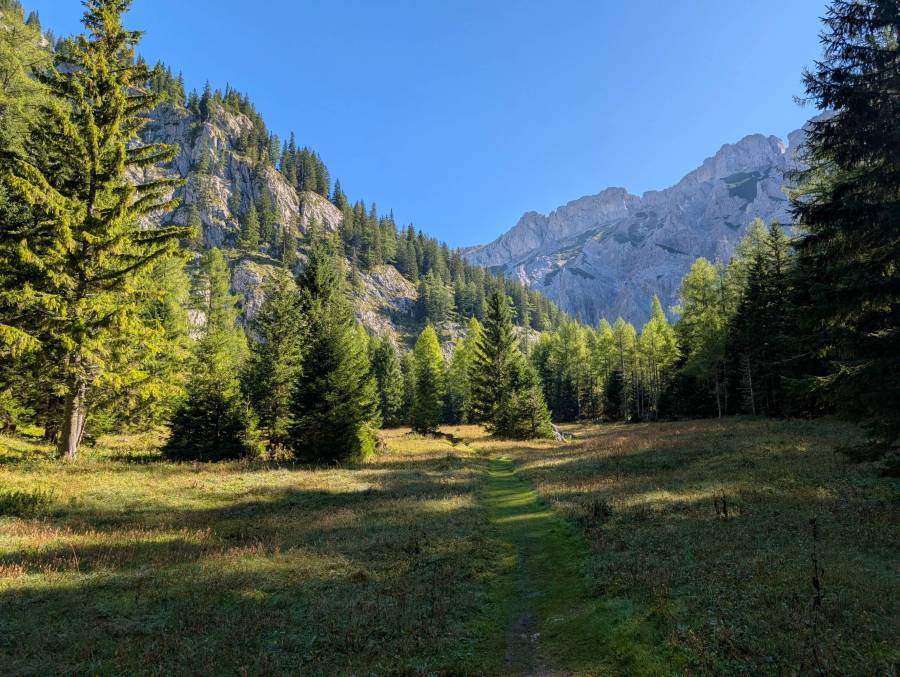 pxl_20250908_082422498.jpg pxl_20250908_082422498.jpg