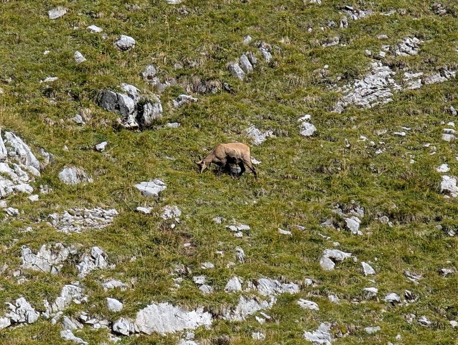 pxl_20250908_100104811.jpg pxl_20250908_100104811.jpg