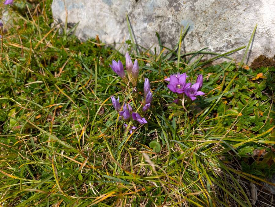 pxl_20250908_100319708.jpg pxl_20250908_100319708.jpg