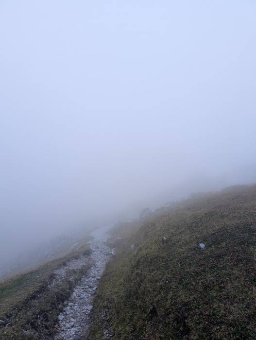 pxl_20250909_071146405.jpg pxl_20250909_071146405.jpg