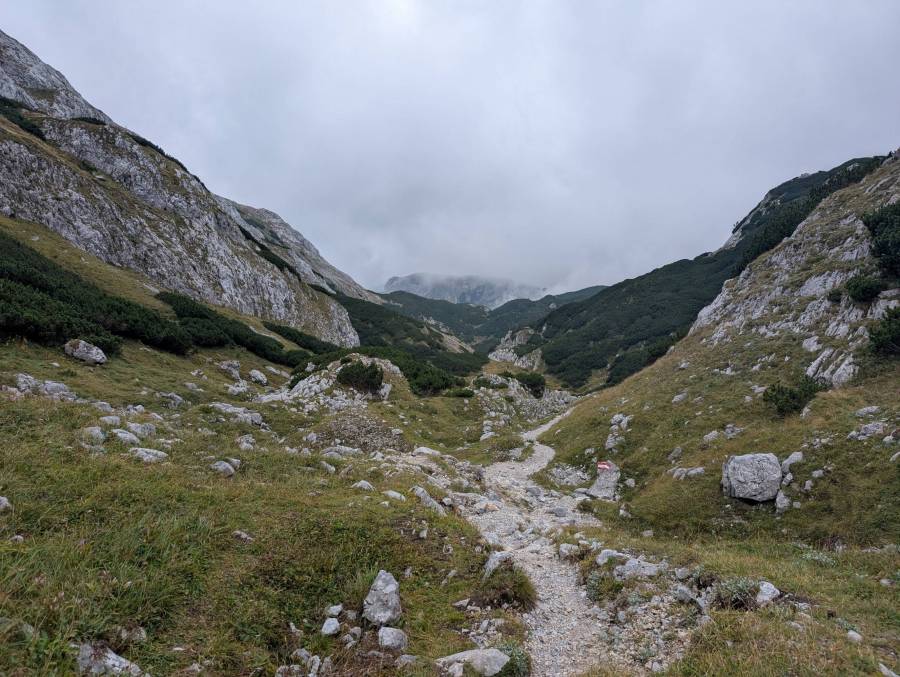 pxl_20250909_094545502.jpg pxl_20250909_094545502.jpg