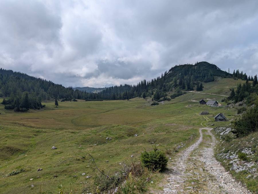 pxl_20250909_102950266.jpg pxl_20250909_102950266.jpg