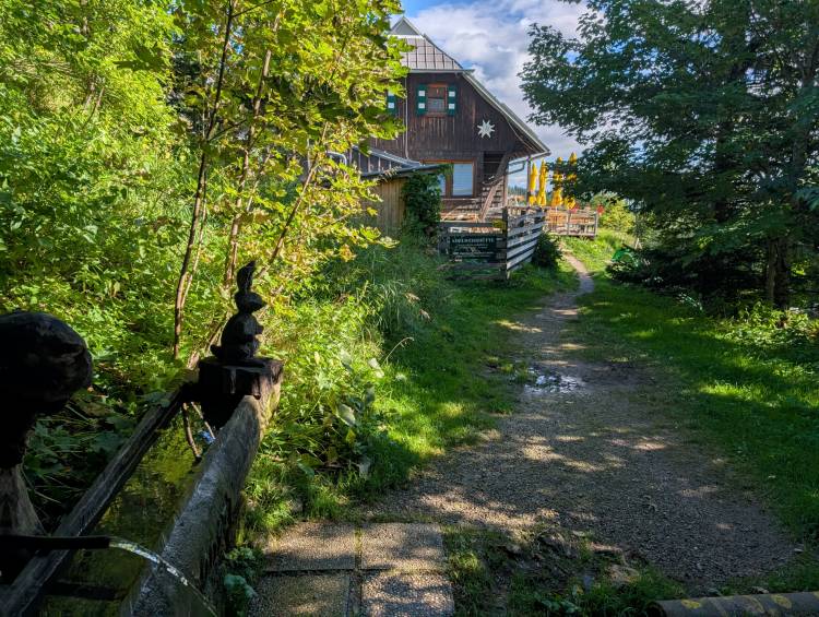 pxl_20250915_074105097.mp.jpg pxl_20250915_074105097.mp.jpg