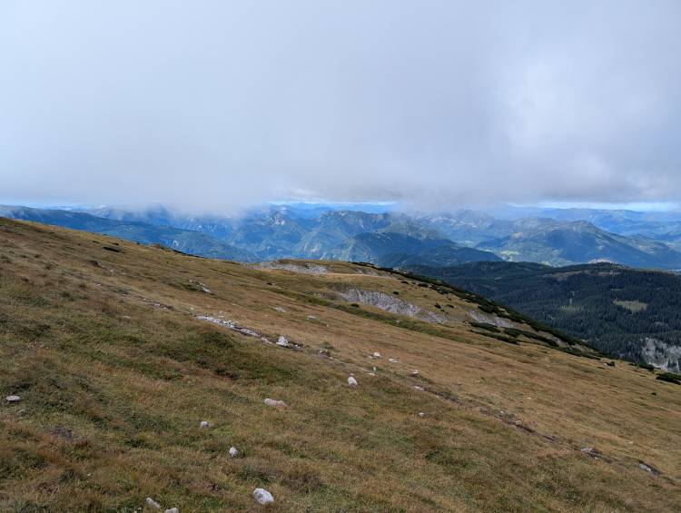 pxl_20250915_094600451.jpg pxl_20250915_094600451.jpg