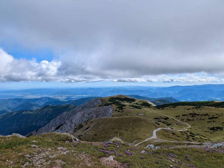 pxl_20250915_105641063.jpg pxl_20250915_105641063.jpg