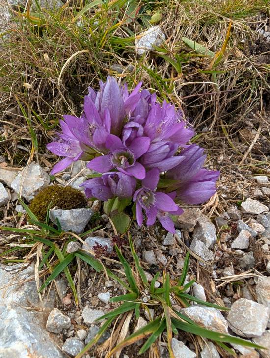 pxl_20250915_110503064.jpg pxl_20250915_110503064.jpg