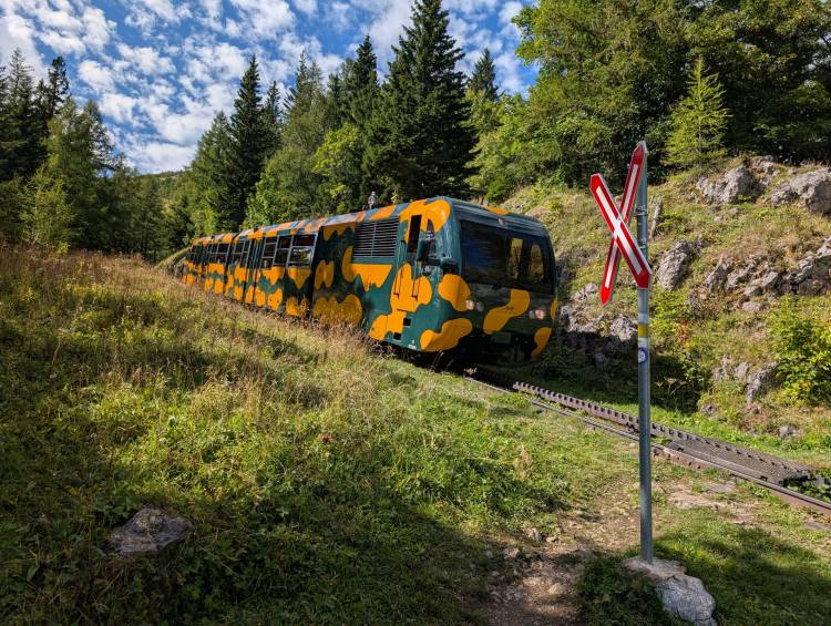 pxl_20250915_122244940.jpg pxl_20250915_122244940.jpg