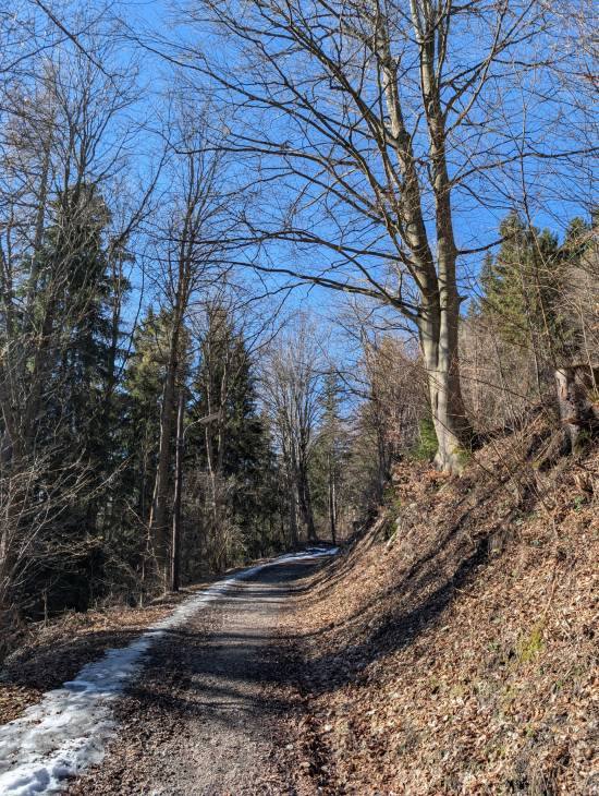 pxl_20260228_085817113.jpg pxl_20260228_085817113.jpg