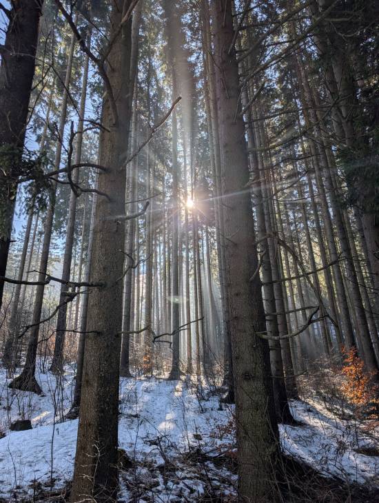 pxl_20260228_092404823.jpg pxl_20260228_092404823.jpg