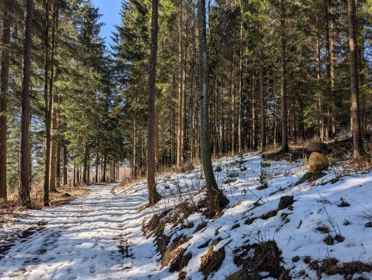 pxl_20260228_094621880.jpg pxl_20260228_094621880.jpg