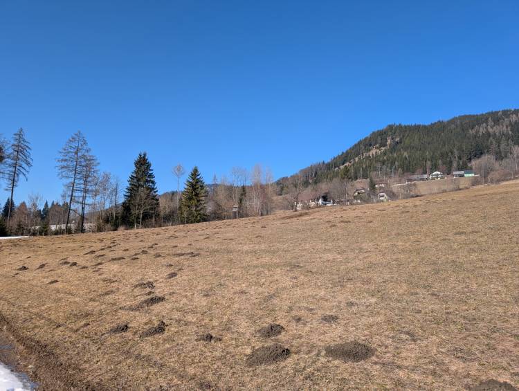 pxl_20260228_095059664.jpg pxl_20260228_095059664.jpg