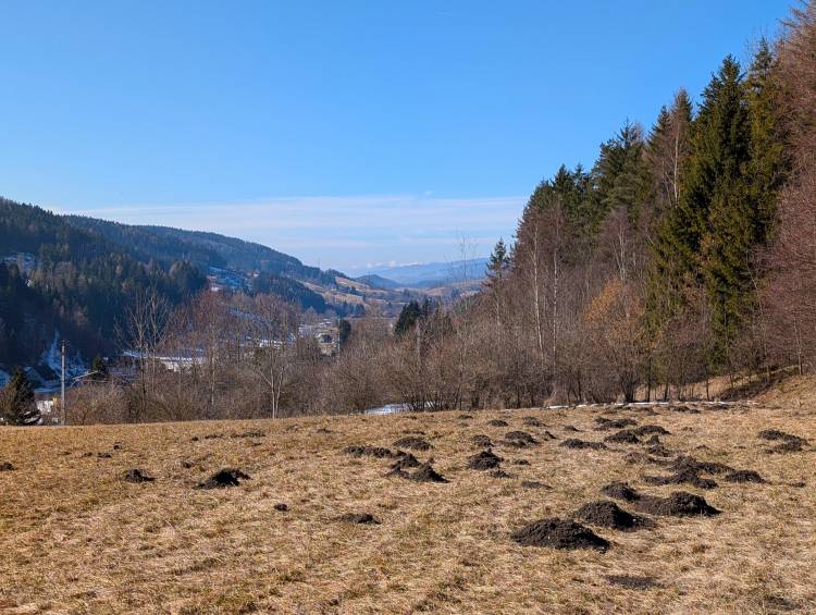 pxl_20260228_100814751.jpg pxl_20260228_100814751.jpg