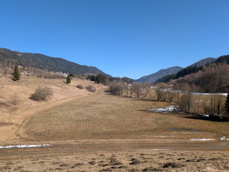 pxl_20260228_105950106.jpg pxl_20260228_105950106.jpg