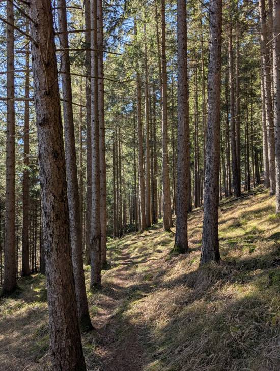 pxl_20260228_115246490.jpg pxl_20260228_115246490.jpg