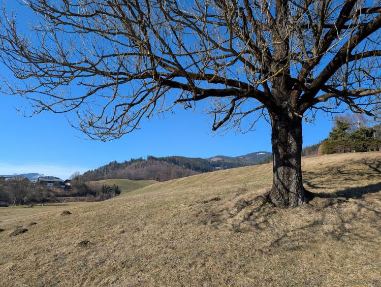 pxl_20260228_122013656.jpg pxl_20260228_122013656.jpg