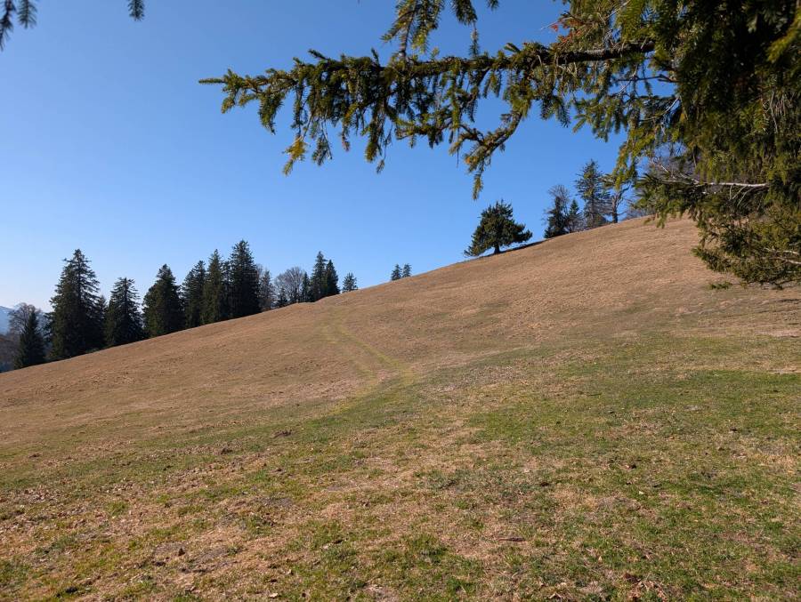 pxl_20260307_104514969.jpg