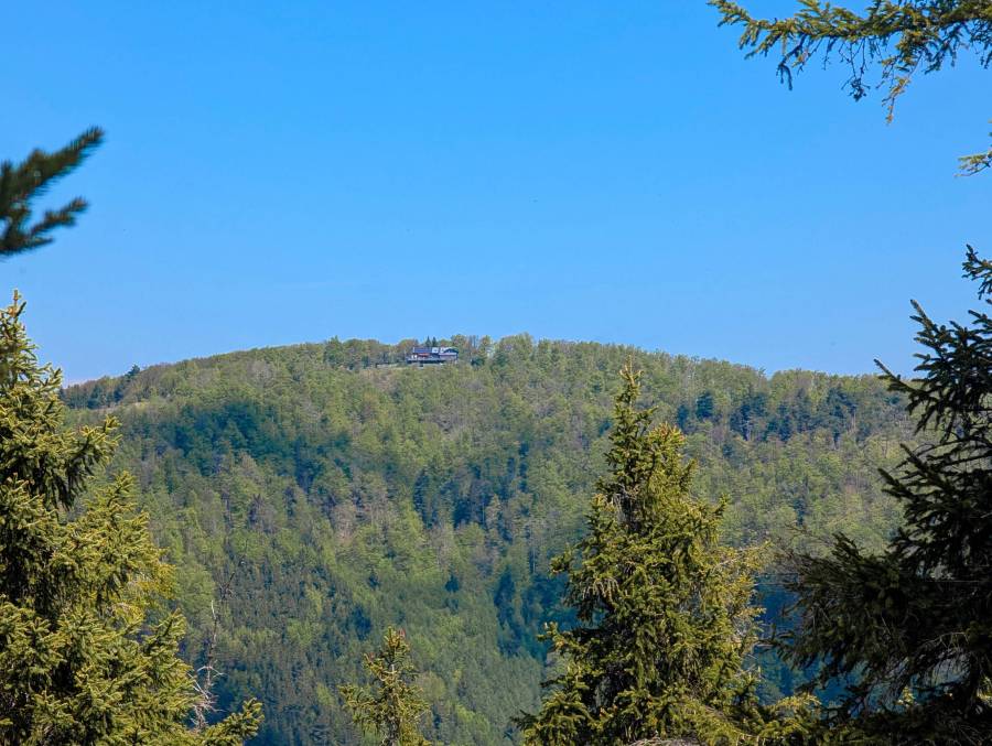 pxl_20260509_091901340.jpg